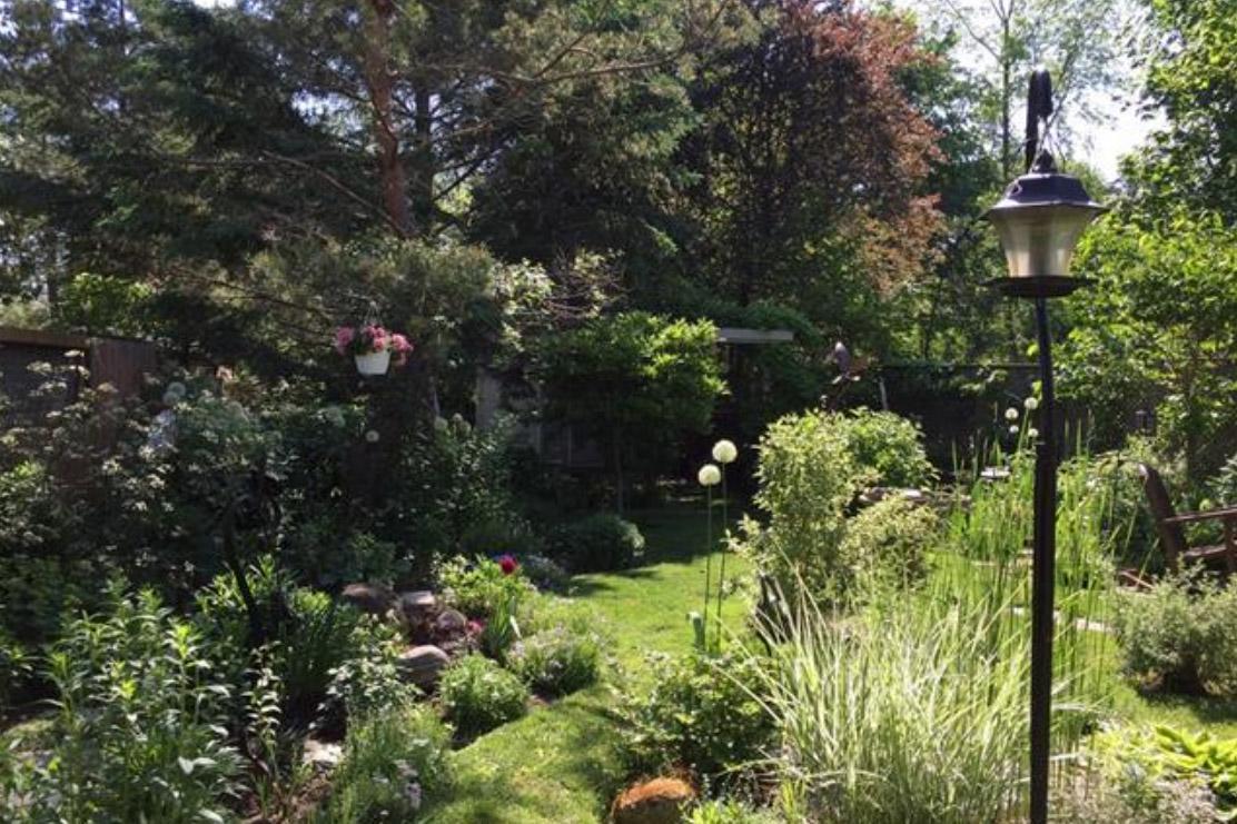 Niagara-on-the-Lake 2 Moon Cottage المظهر الخارجي الصورة